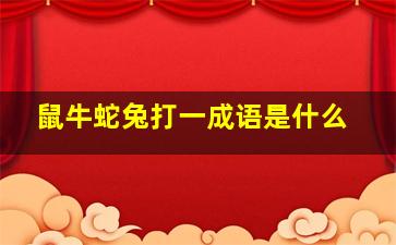 鼠牛蛇兔打一成语是什么