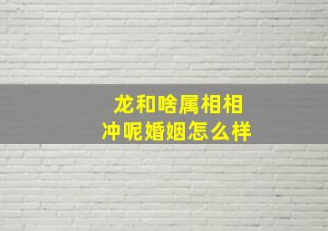 龙和啥属相相冲呢婚姻怎么样