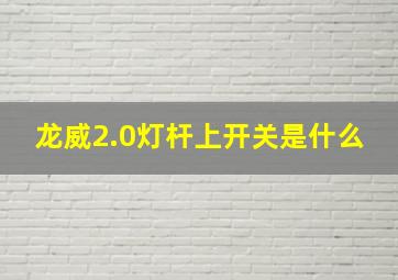 龙威2.0灯杆上开关是什么