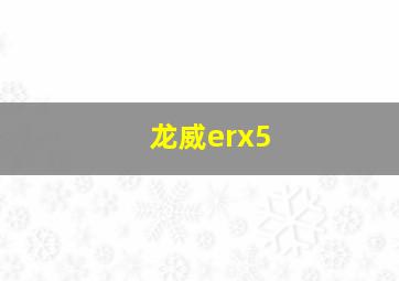 龙威erx5