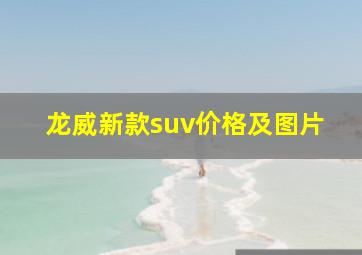 龙威新款suv价格及图片