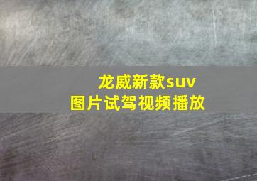 龙威新款suv图片试驾视频播放