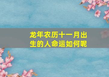 龙年农历十一月出生的人命运如何呢