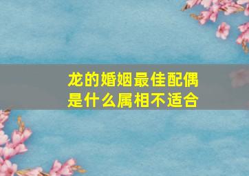 龙的婚姻最佳配偶是什么属相不适合