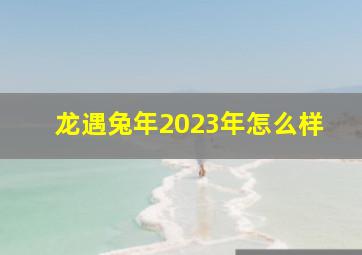 龙遇兔年2023年怎么样