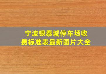 宁波银泰城停车场收费标准表最新图片大全