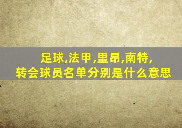 足球,法甲,里昂,南特,转会球员名单分别是什么意思