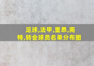 足球,法甲,里昂,南特,转会球员名单分布图